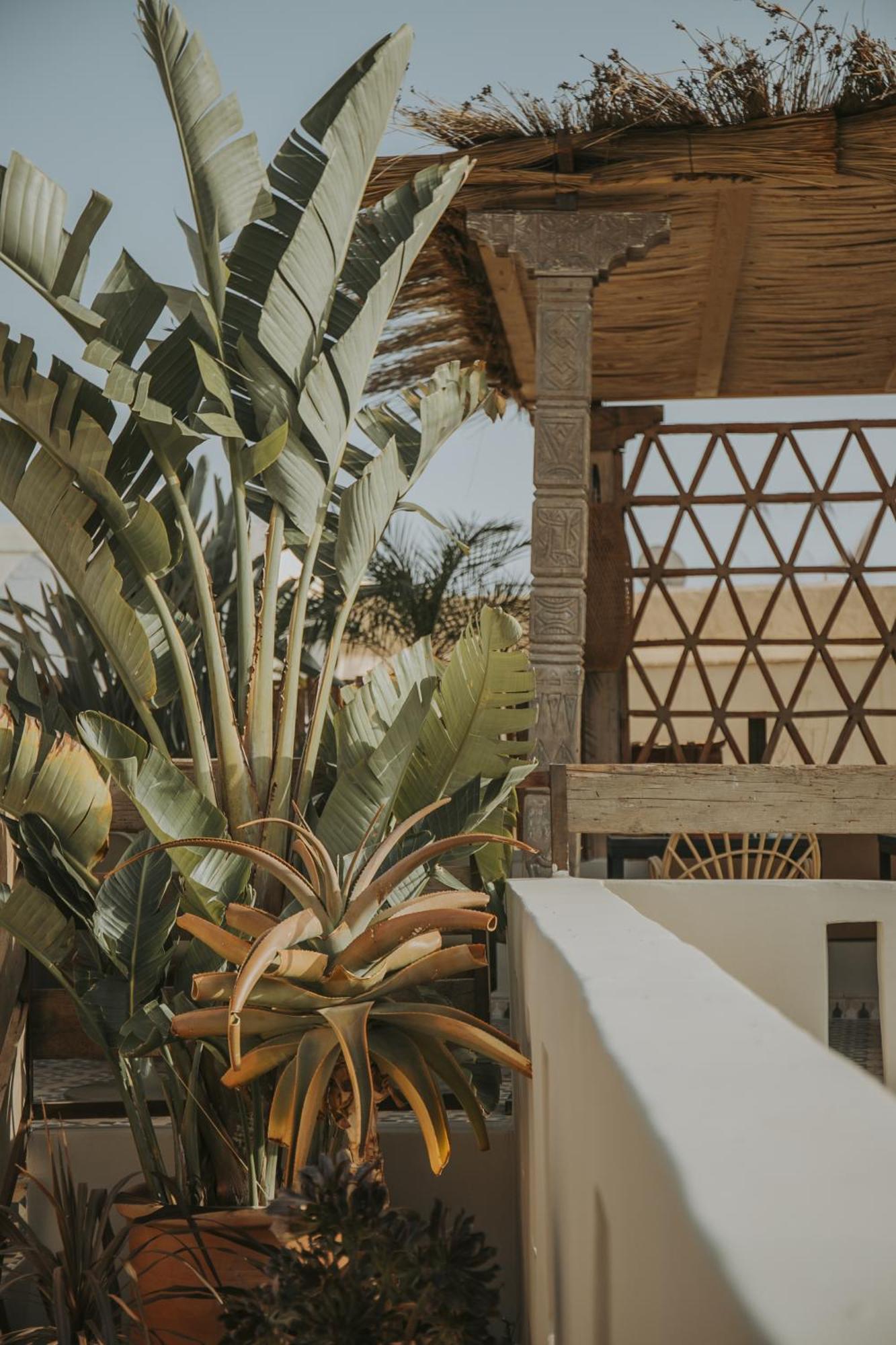 Riad K มาร์ราเกช ภายนอก รูปภาพ